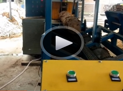 原木多片鋸400型自動翻料進料&nbsp;湖南邵陽加工現場