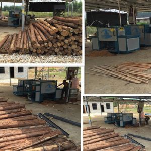 廣西南寧250型原木多片鋸客戶現場