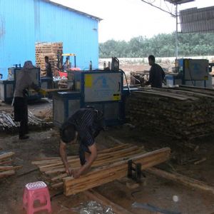 海南島-圓木-方木-多片鋸加工現(xiàn)場