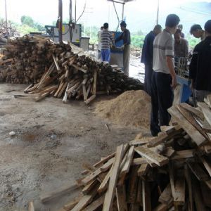 廣東省韶關市馬壩-方木多片鋸150高-加工現場