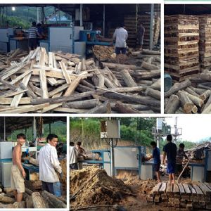 圓木多片鋸-越南-廣寧省-先安250型機(jī)加工現(xiàn)場(chǎng)