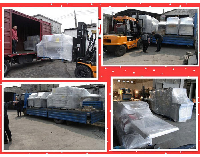 出口歐洲等多個國家、澳大利亞、現場圖片