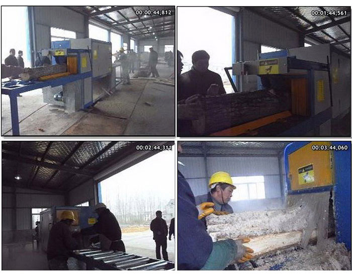 江蘇省-淮安市-楚洲區-鋸35圓木加工現場