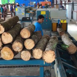 全自動多片鋸生產線在斯里蘭卡客戶現場1