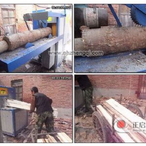 山西省晉中市榆次-鋸25圓揚木現(xiàn)場